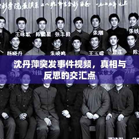 沈丹萍突发事件视频，真相与反思的交汇点