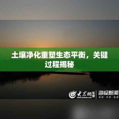 土壤净化重塑生态平衡，关键过程揭秘