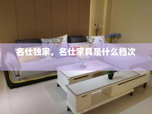 名仕独家,名仕家具是什么档次