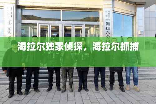 海拉尔独家侦探，海拉尔抓捕 