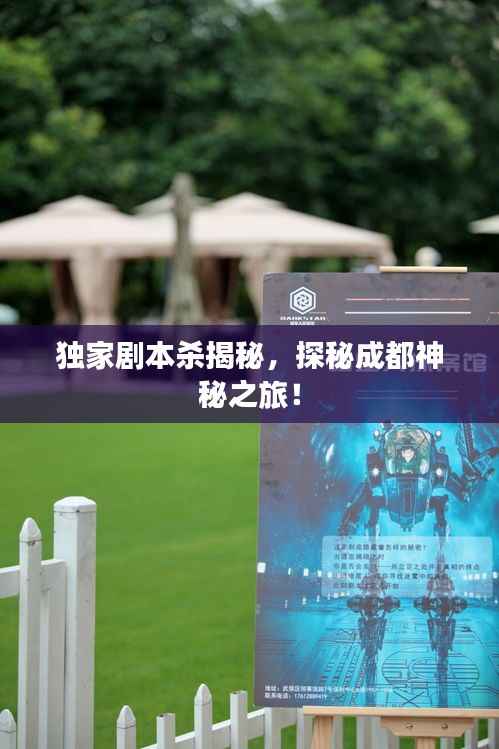 独家剧本杀揭秘，探秘成都神秘之旅！