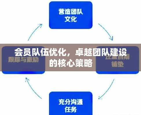 会员队伍优化,卓越团队建设的核心策略