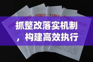 抓整改落实机制，构建高效执行力之路