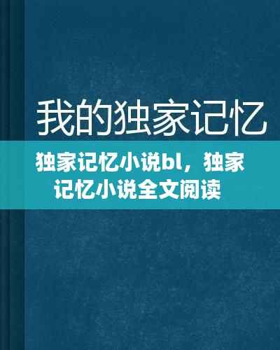 独家记忆小说bl，独家记忆小说全文阅读 