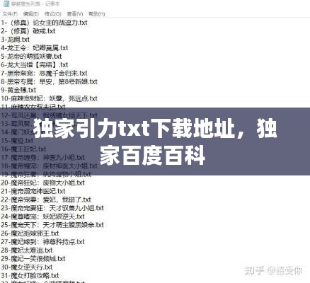 独家引力txt下载地址,独家百度百科