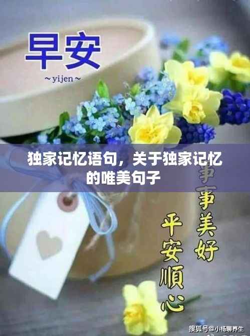 独家记忆语句，关于独家记忆的唯美句子 