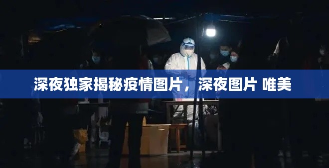 深夜独家揭秘疫情图片，深夜图片 唯美 