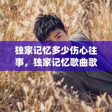 独家记忆多少伤心往事，独家记忆歌曲歌词 