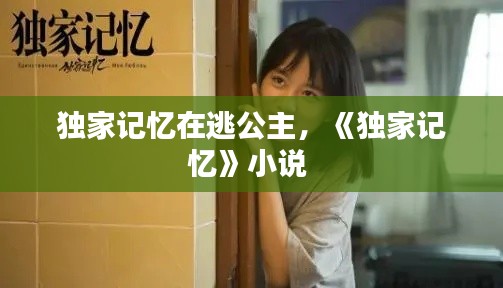 独家记忆在逃公主,《独家记忆》小说