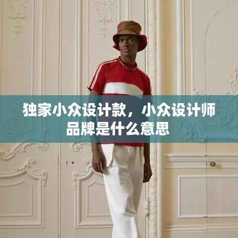 独家小众设计款,小众设计师品牌是什么意思