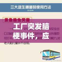 工厂突发脑梗事件,应对与关注指南