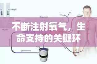 不断注射氧气,生命支持的关键环节