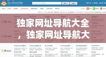 独家网址导航大全,独家网址导航大全下载