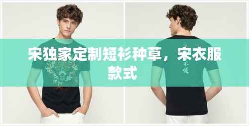 宋独家定制短衫种草，宋衣服款式 