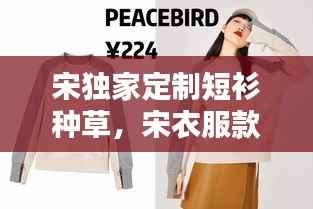 宋独家定制短衫种草,宋衣服款式