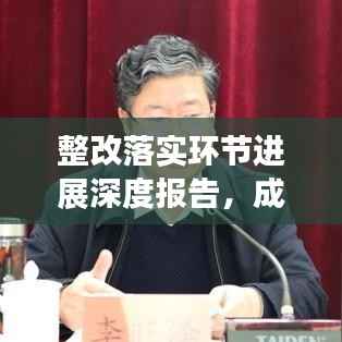 整改落实环节进展深度报告,成效显著,持续推进