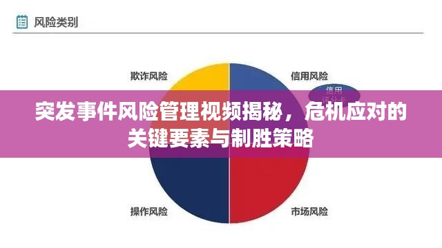 突发事件风险管理视频揭秘，危机应对的关键要素与制胜策略