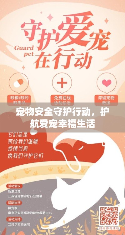 宠物安全守护行动,护航爱宠幸福生活