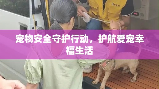 宠物安全守护行动,护航爱宠幸福生活