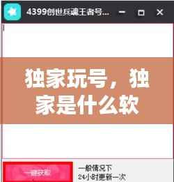 独家玩号,独家是什么软件