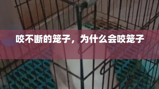 咬不断的笼子，为什么会咬笼子 