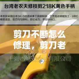 剪刀不断怎么修理,剪刀老是剪不断