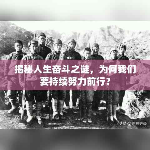 揭秘人生奋斗之谜，为何我们要持续努力前行？