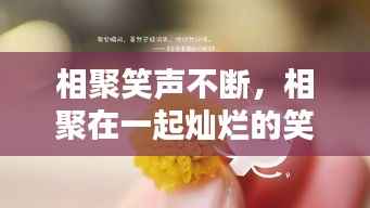 相聚笑声不断，相聚在一起灿烂的笑容是什么歌 