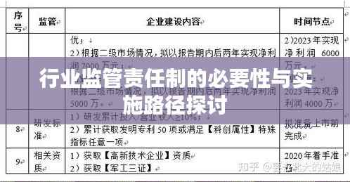 行业监管责任制的必要性与实施路径探讨