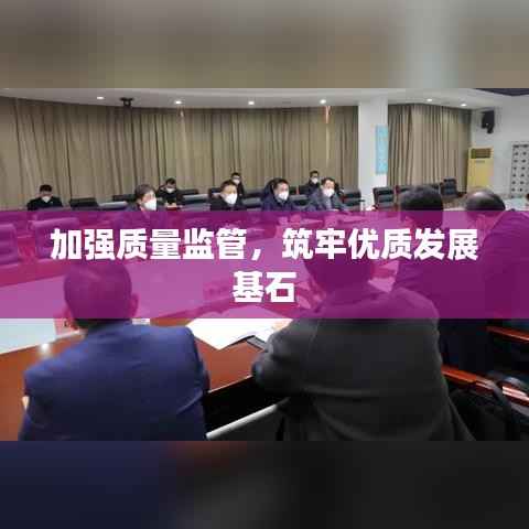 加强质量监管,筑牢优质发展基石