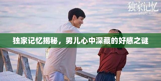 独家记忆揭秘,男儿心中深藏的好感之谜