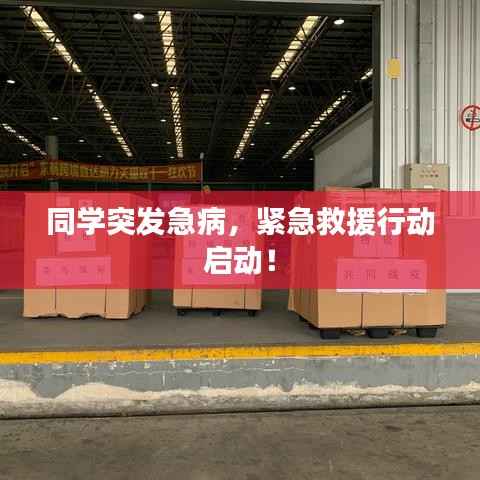 同学突发急病，紧急救援行动启动！