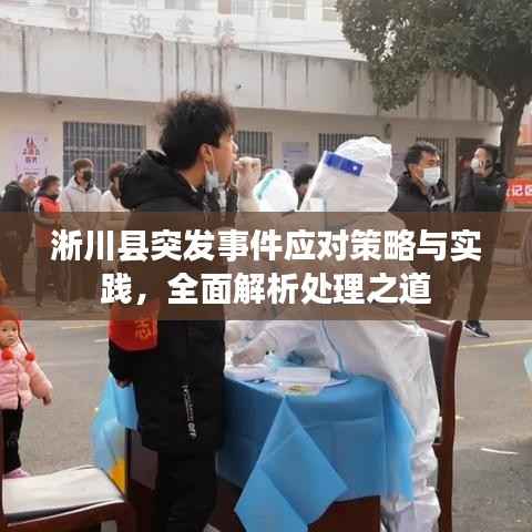 淅川县突发事件应对策略与实践，全面解析处理之道