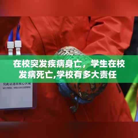 在校突发疾病身亡，学生在校发病死亡,学校有多大责任 