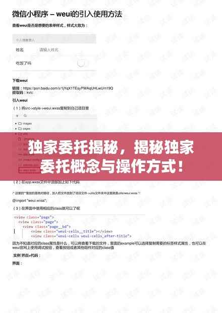 独家委托揭秘，揭秘独家委托概念与操作方式！