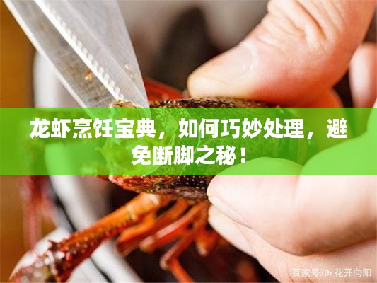 龙虾烹饪宝典，如何巧妙处理，避免断脚之秘！