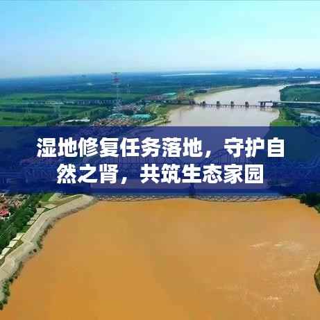 湿地修复任务落地,守护自然之肾,共筑生态家园