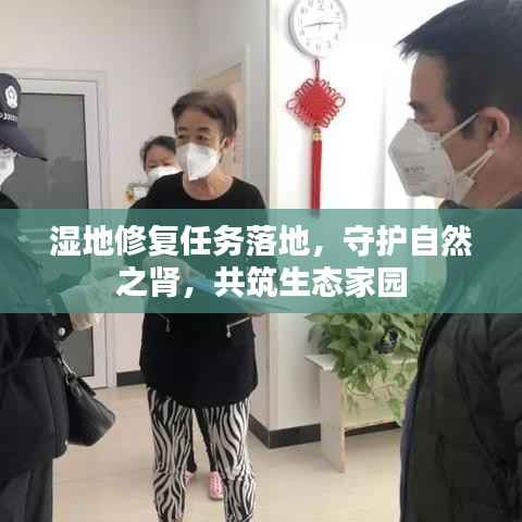 湿地修复任务落地,守护自然之肾,共筑生态家园