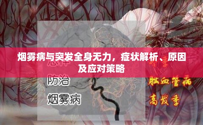 烟雾病与突发全身无力,症状解析、原因及应对策略