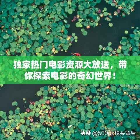 独家热门电影资源大放送,带你探索电影的奇幻世界!