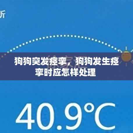 狗狗突发痉挛,狗狗发生痉挛时应怎样处理