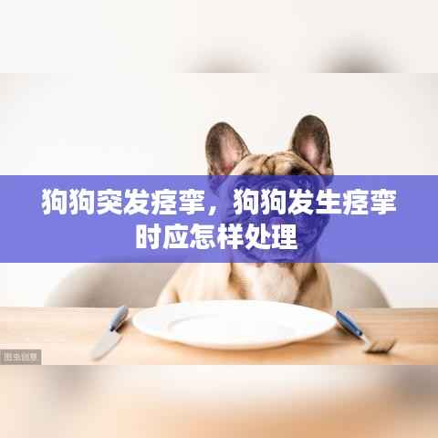狗狗突发痉挛,狗狗发生痉挛时应怎样处理
