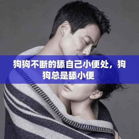 狗狗不断的舔自己小便处,狗狗总是舔小便