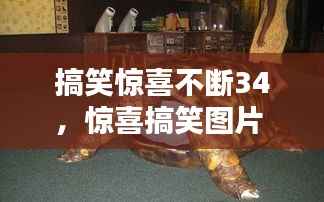 搞笑惊喜不断34,惊喜搞笑图片