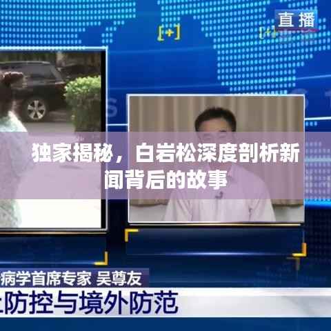 独家揭秘，白岩松深度剖析新闻背后的故事
