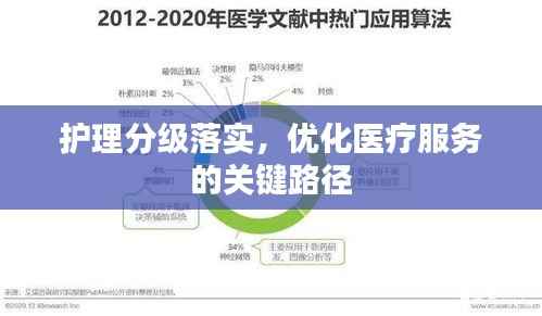 护理分级落实,优化医疗服务的关键路径