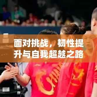 面对挑战，韧性提升与自我超越之路