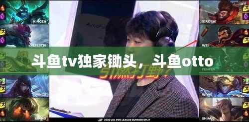 斗鱼tv独家锄头，斗鱼otto 