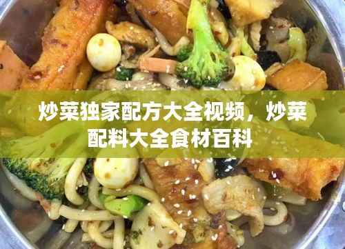 炒菜独家配方大全视频,炒菜配料大全食材百科
