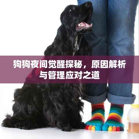 斫琱为朴 第4页